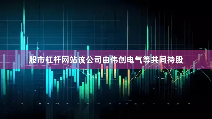 股市杠杆网站该公司由伟创电气等共同持股